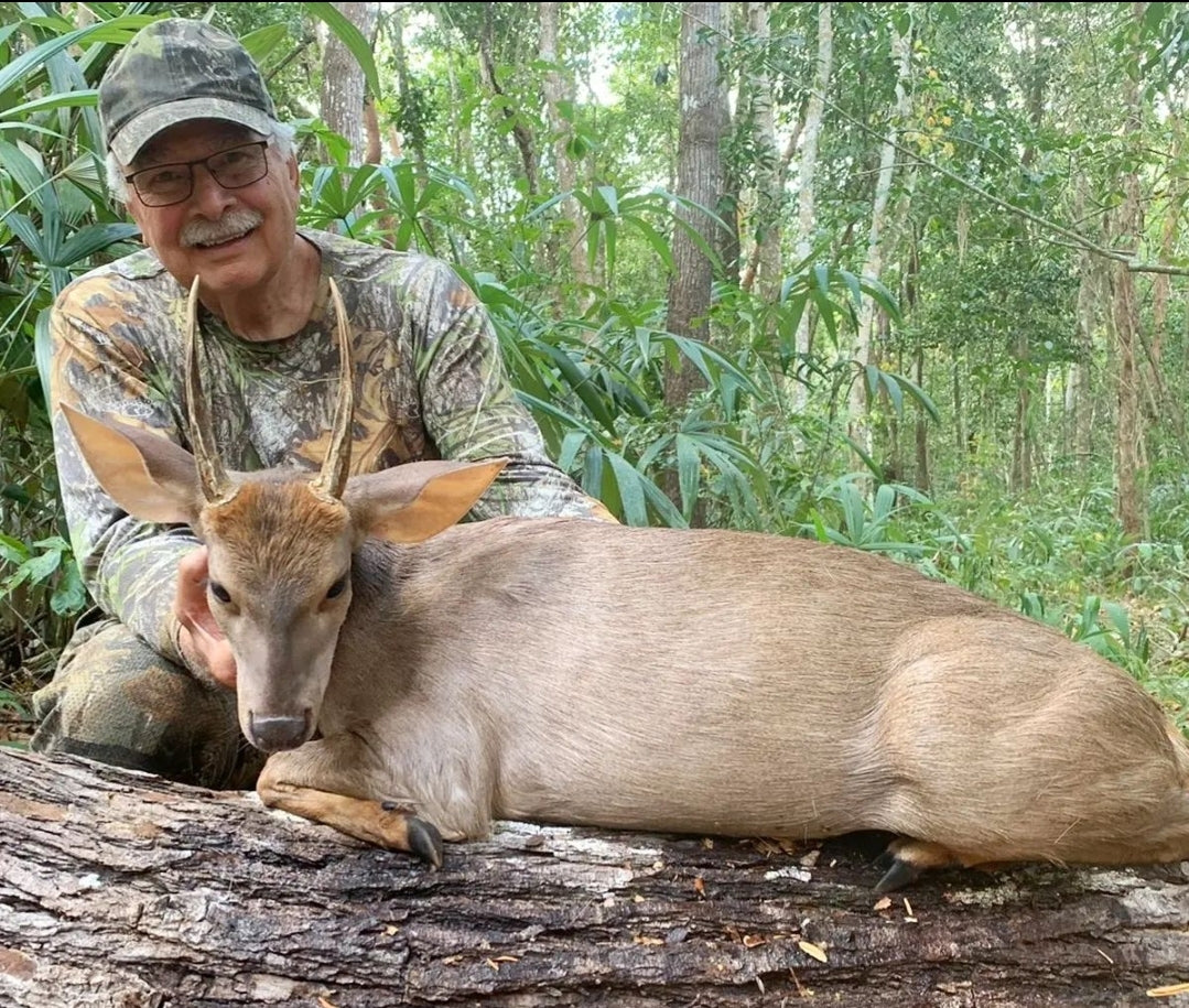 Gray-brown Brocket Deer