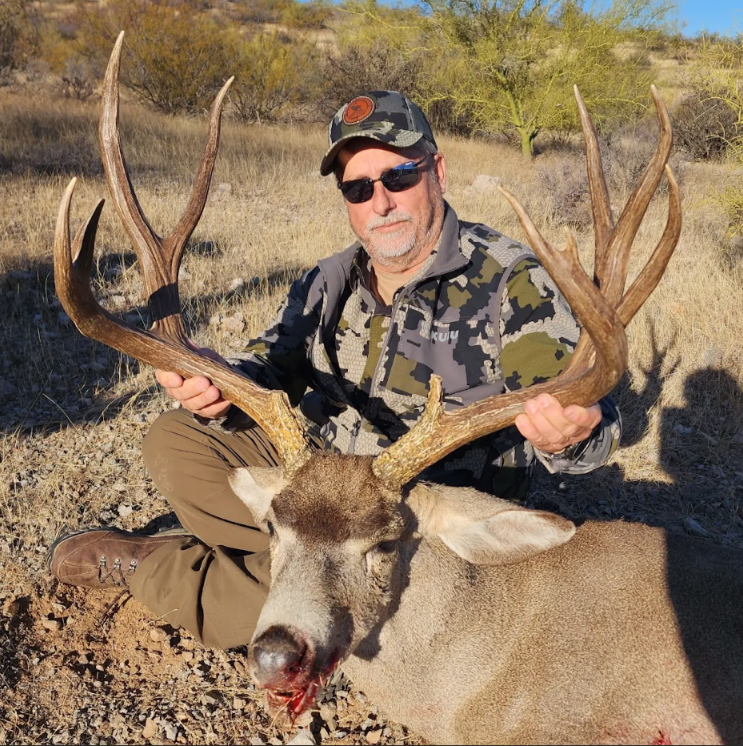 Desert Mule Deer