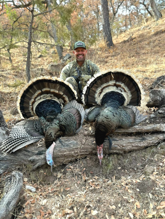 Gould’s Turkey